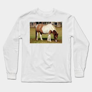 American Paint Horse Long Sleeve T-Shirt